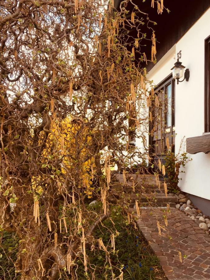 Hegau-Lounge-Bodensee Muhlhausen-Ehingen Εξωτερικό φωτογραφία
